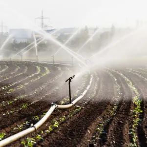 Installation de récupérateur d'eau professionnel pour l'agriculture.